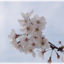 창원기계공업고등학교 이미지