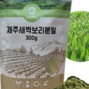 보리주식회사 이미지