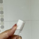 주식회사 비손 이미지