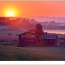 안성목장 이미지