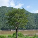 장계관광지 이미지