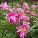 휴식 Ⅱ 이미지