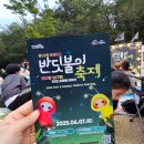 반딧불이 | 이기대 반딧불이 축제 후기 반딧불이 목격담