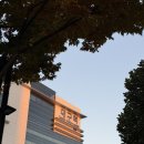 아하 과학상식A 2 | AIEDAP 마스터 신규교원 연수 후기-[2일차] AI 디지털 윤리 특강 / AI 디지털 기술 활용 교수학습 설계