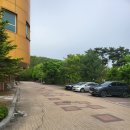 운산고등학교 | 광명 l 운산고등학교 축구장 후기