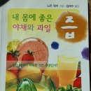 영분야채