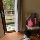 라피스호텔 | 아이와 발리 2주 Day6. 마라리버 사파리 > 짱구 에어비앤비 숙소로 이동 (라피스2)