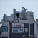 흑석농장 이미지