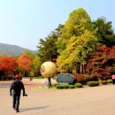 용문사 Daum카페