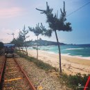 삼척바다향펜션 이미지