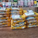 멍멍이랑 호호아줌마 이미지