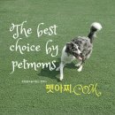 펫아찌펫아씨 이미지