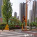 옐로카펫(병설유치원 정문 앞) | 4월 24일 나의 마지막 녹색학부모회 활동을 마치며