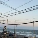 와스타디움 테니스장 앞 신호등 | 얼렁뚱땅 4박5일 도쿄여행🗼🛫(도쿄짐보관예약 할인코드/J리그/가마쿠라 미요시우동/요코하마/롯본기...