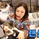 LP듣는 김숙 방해하는 고양이 바위ㅋㅋㅋㅋㅋㅋ.gif 이미지