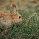 대구약국 이미지