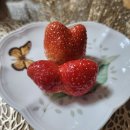 희망찬약국 | [분당제일여성병원] 신선 1차, 냉동 1차 시험관 시술