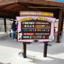 순천만습지 | 순천만국가정원 서문에서 스카이큐브 타고 순천만 습지 다녀온 후기