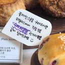 오델리스 이미지