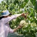 백자농장 이미지