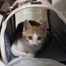 민동물병원 이미지