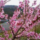 영천목장 이미지