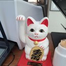 본가통영충무김밥 이미지