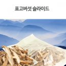 빼어날수 이미지