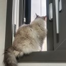 최가네짬뽕 | 티타늄셀, 소벨 식기건조대, 시그니엘 107층 스시바, 하우스오브갓덴, 다동 황소막창, 최가네황소곱창)