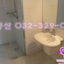 신일아르디세 이미지