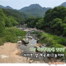 사담관광농원캠핑 이미지