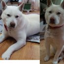 부암3동-7 이미지