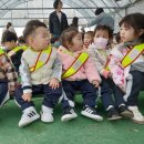 튼튼이농장 이미지