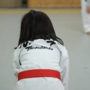 한국효태권도 네이버블로그