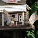 이치과기공소 이미지