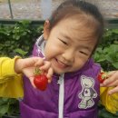 두물농원 이미지