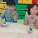 신곡초병설유치원 이미지