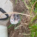 포항 보쉬카 서비스 카엔지니어 이미지