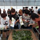 교동장독대마을 이미지