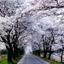 평지민박 이미지