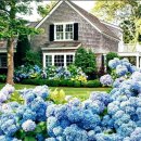 꿈꾸는 정원 이미지