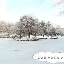 2월 20일 수요일 야생초교실수업-창경궁 이미지