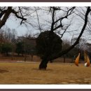 전남대 정문 이미지