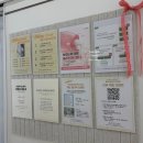 아로짐 | 대전 신부관리 잘하는곳 아로뮤 에스테틱 뮤프팅 스탠다드 후기