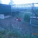 성결농장 이미지