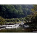 향기꽃방 이미지