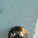 개나리아파트 이미지