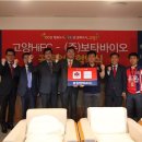 보타