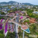 묵호관광안내소 이미지