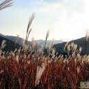 섬진강나루 이미지